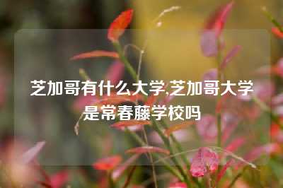 芝加哥有什么大学,芝加哥大学是常春藤学校吗