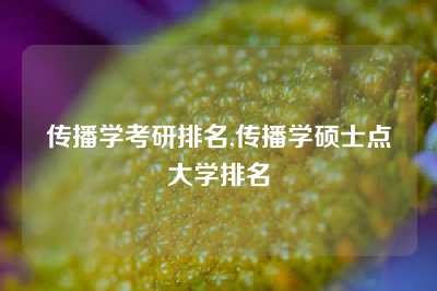 传播学考研排名,传播学硕士点大学排名