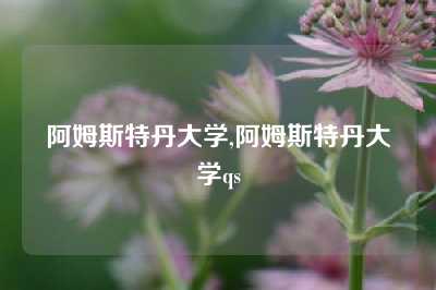 阿姆斯特丹大学,阿姆斯特丹大学qs