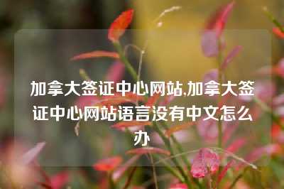 加拿大签证中心网站,加拿大签证中心网站语言没有中文怎么办