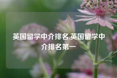 英国留学中介排名,英国留学中介排名第一