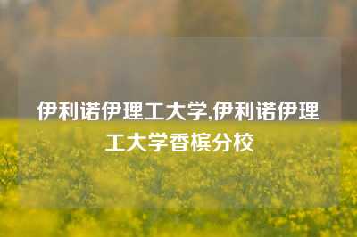 伊利诺伊理工大学,伊利诺伊理工大学香槟分校