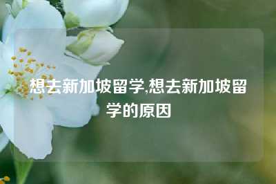 想去新加坡留学,想去新加坡留学的原因