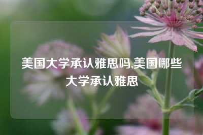 美国大学承认雅思吗,美国哪些大学承认雅思