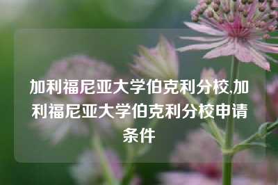 加利福尼亚大学伯克利分校,加利福尼亚大学伯克利分校申请条件