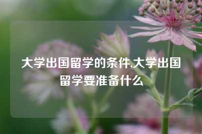 大学出国留学的条件,大学出国留学要准备什么