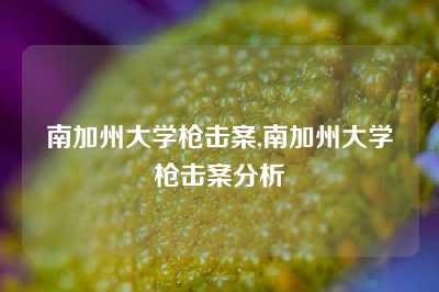 南加州大学枪击案,南加州大学枪击案分析