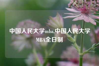 中国人民大学mba,中国人民大学MBA全日制