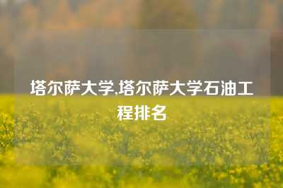 塔尔萨大学,塔尔萨大学石油工程排名