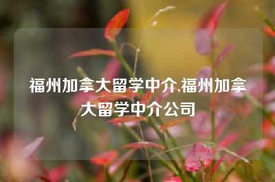 福州加拿大留学中介,福州加拿大留学中介公司