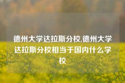 德州大学达拉斯分校,德州大学达拉斯分校相当于国内什么学校