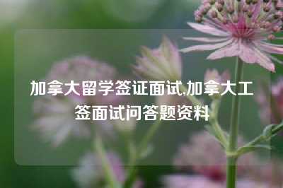 加拿大留学签证面试,加拿大工签面试问答题资料