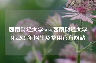 西南财经大学mba,西南财经大学Mba2023年招生及费用官方网站