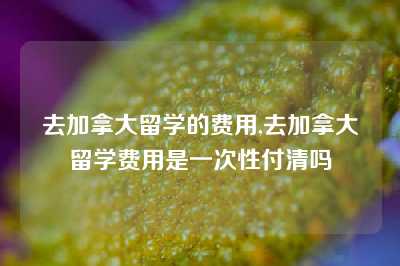 去加拿大留学的费用,去加拿大留学费用是一次性付清吗