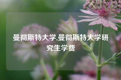 曼彻斯特大学,曼彻斯特大学研究生学费