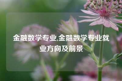 金融数学专业,金融数学专业就业方向及前景