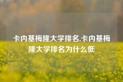 卡内基梅隆大学排名,卡内基梅隆大学排名为什么低