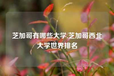 芝加哥有哪些大学,芝加哥西北大学世界排名