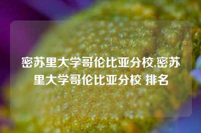 密苏里大学哥伦比亚分校,密苏里大学哥伦比亚分校 排名