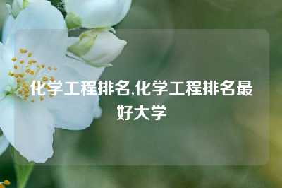 化学工程排名,化学工程排名最好大学