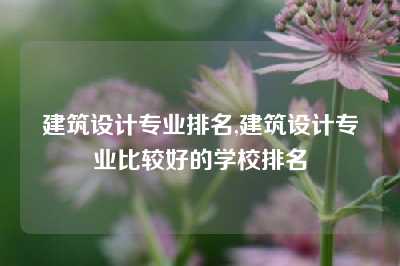 建筑设计专业排名,建筑设计专业比较好的学校排名