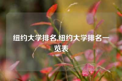 纽约大学排名,纽约大学排名一览表