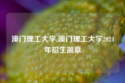 澳门理工大学,澳门理工大学2024年招生简章