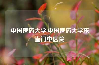 中国医药大学,中国医药大学东直门中医院