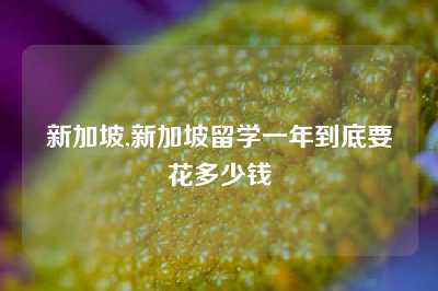 新加坡,新加坡留学一年到底要花多少钱