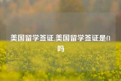 美国留学签证,美国留学签证是f1吗