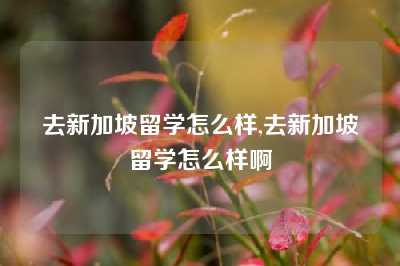 去新加坡留学怎么样,去新加坡留学怎么样啊