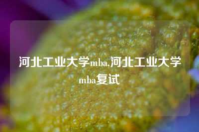 河北工业大学mba,河北工业大学mba复试