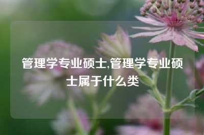 管理学专业硕士,管理学专业硕士属于什么类