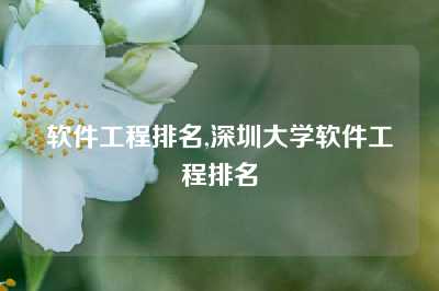 软件工程排名,深圳大学软件工程排名