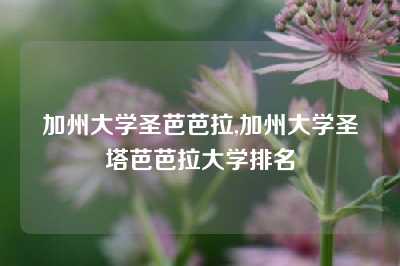 加州大学圣芭芭拉,加州大学圣塔芭芭拉大学排名