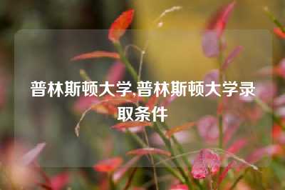 普林斯顿大学,普林斯顿大学录取条件