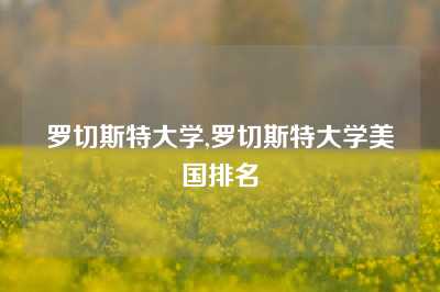 罗切斯特大学,罗切斯特大学美国排名