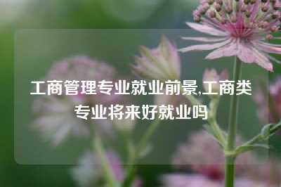 工商管理专业就业前景,工商类专业将来好就业吗