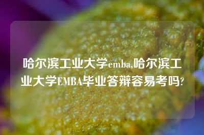 哈尔滨工业大学emba,哈尔滨工业大学EMBA毕业答辩容易考吗?