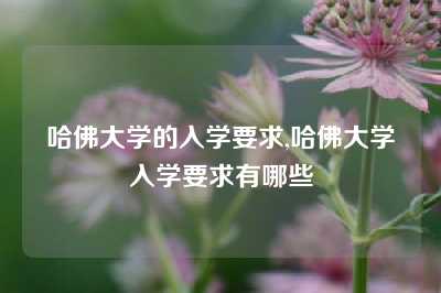 哈佛大学的入学要求,哈佛大学入学要求有哪些