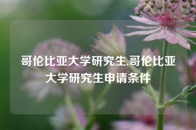 哥伦比亚大学研究生,哥伦比亚大学研究生申请条件