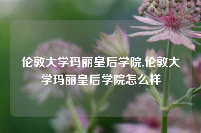 伦敦大学玛丽皇后学院,伦敦大学玛丽皇后学院怎么样