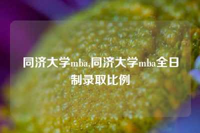 同济大学mba,同济大学mba全日制录取比例