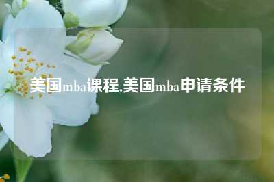 美国mba课程,美国mba申请条件