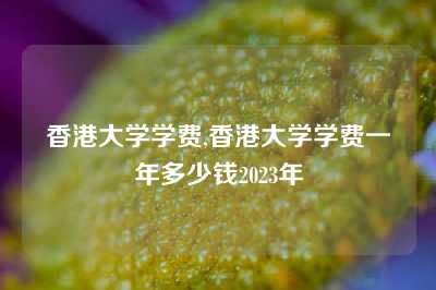 香港大学学费,香港大学学费一年多少钱2023年