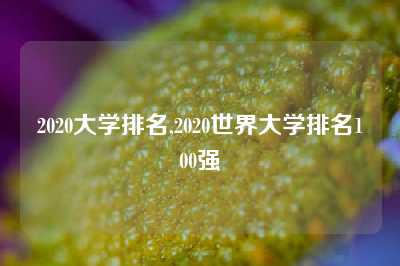 2020大学排名,2020世界大学排名100强