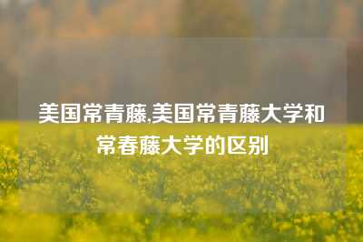 美国常青藤,美国常青藤大学和常春藤大学的区别