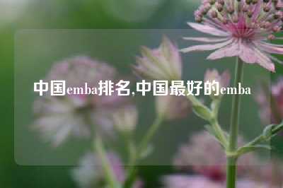 中国emba排名,中国最好的emba