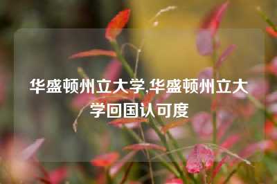 华盛顿州立大学,华盛顿州立大学回国认可度