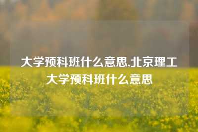 大学预科班什么意思,北京理工大学预科班什么意思